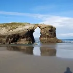 Celta Galaico * Viveiro