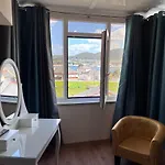 Celta Galaico Viveiro
