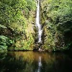 Celta Galaico * Viveiro