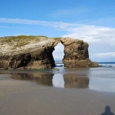 Celta Galaico * Viveiro