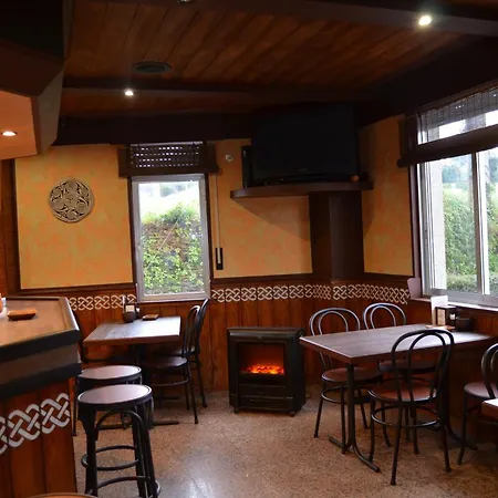 Celta Galaico Viveiro