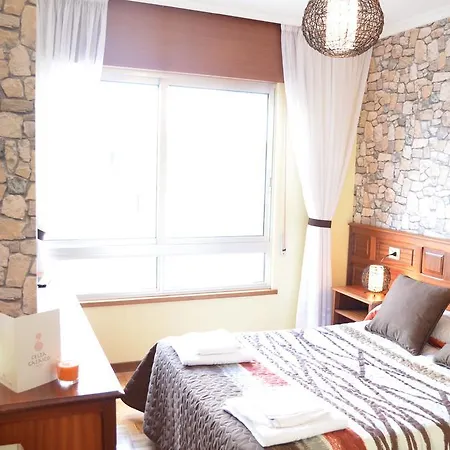 Celta Galaico * Viveiro