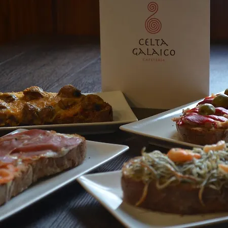 Celta Galaico Hotel Viveiro