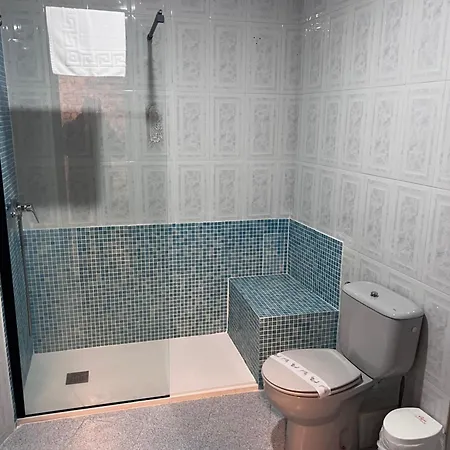 Celta Galaico * Viveiro