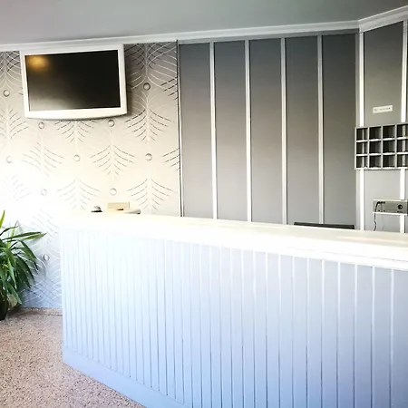 Celta Galaico * Viveiro