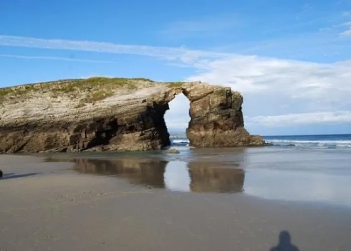 Celta Galaico * Viveiro