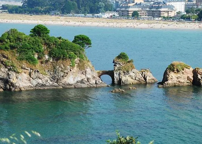 Celta Galaico Viveiro