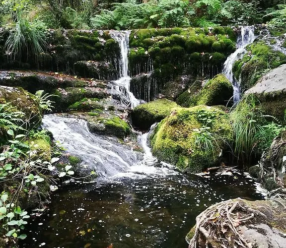 Celta Galaico ויביירו