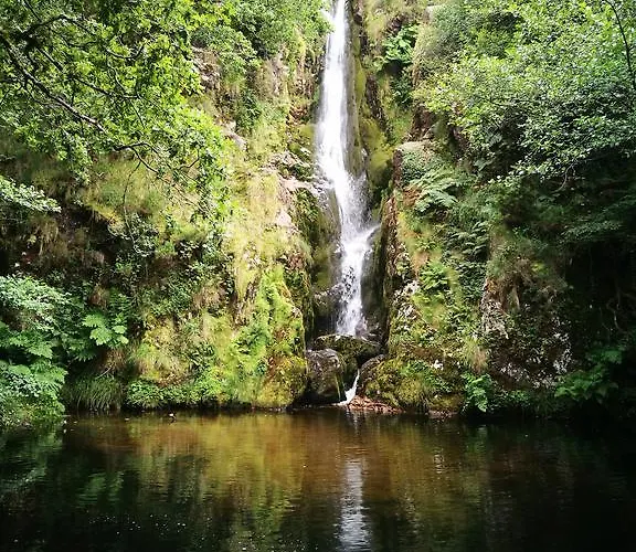 Celta Galaico * ויביירו